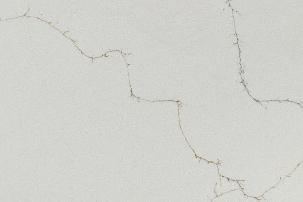 Calacatta Duolina Quartz countertop featuring soft white surface with delicate gold-grey veins
