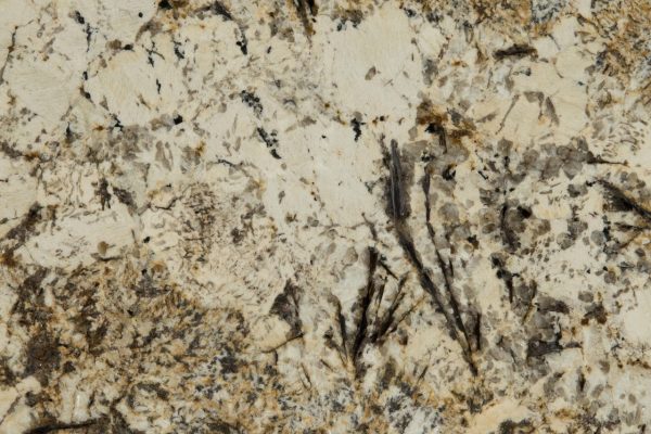Caravelas Gold Granite countertop featuring golden hues, creamy whites, and striking dark veins