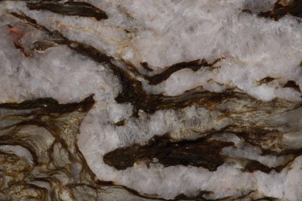 Tempest Crystal Quartzite countertop showcasing soft white and grey tones with gentle flowing patterns